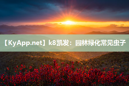 k8凯发：园林绿化常见虫子