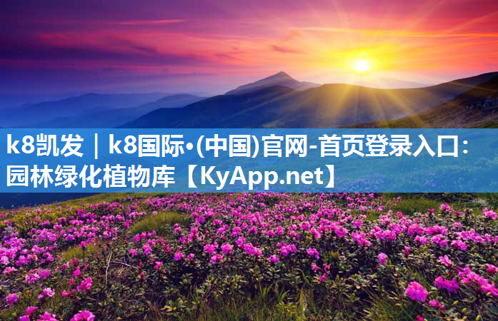 k8凯发｜k8国际·(中国)官网-首页登录入口：园林绿化植物库