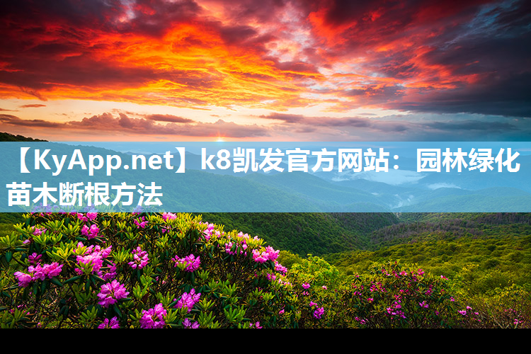 k8凯发官方网站：园林绿化苗木断根方法