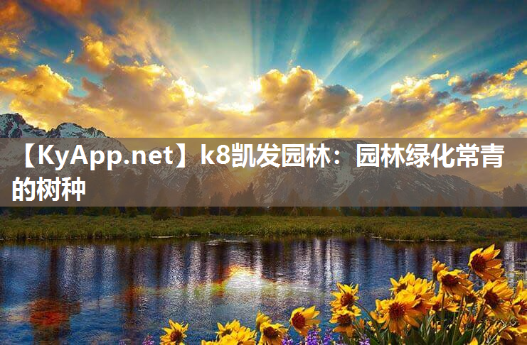 k8凯发园林：园林绿化常青的树种